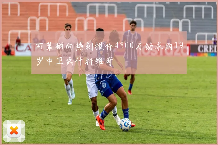 布莱顿向热刺报价4500万镑求购19岁中卫武什科维奇
