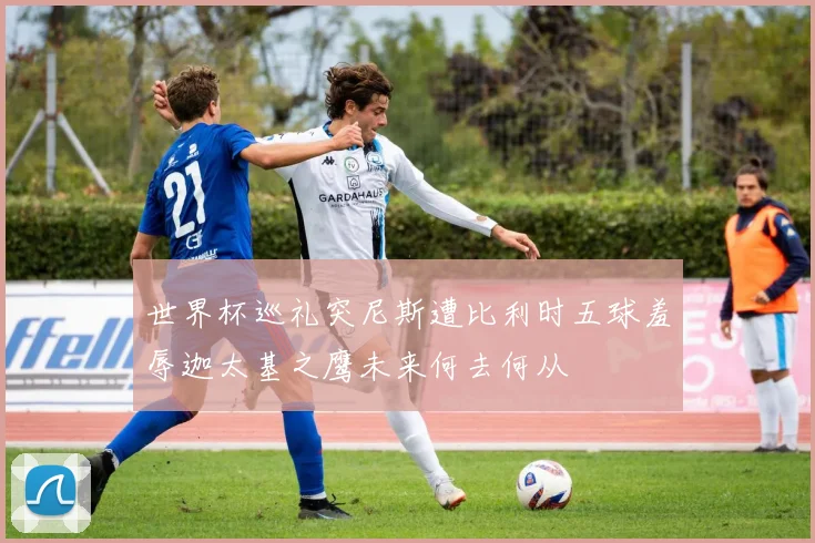 世界杯巡礼突尼斯遭比利时五球羞辱迦太基之鹰未来何去何从